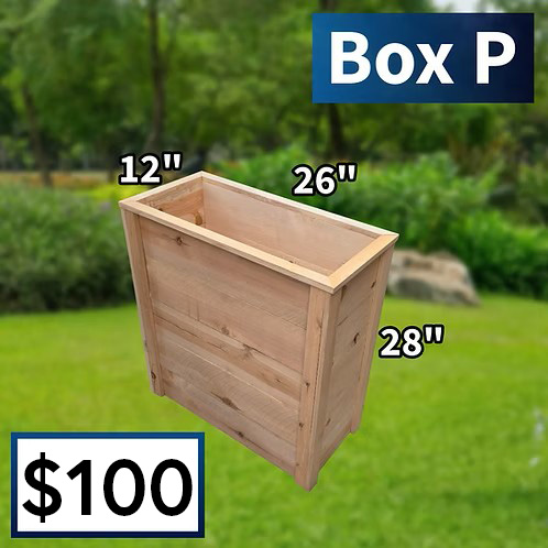 Planter Box P with Pricing
